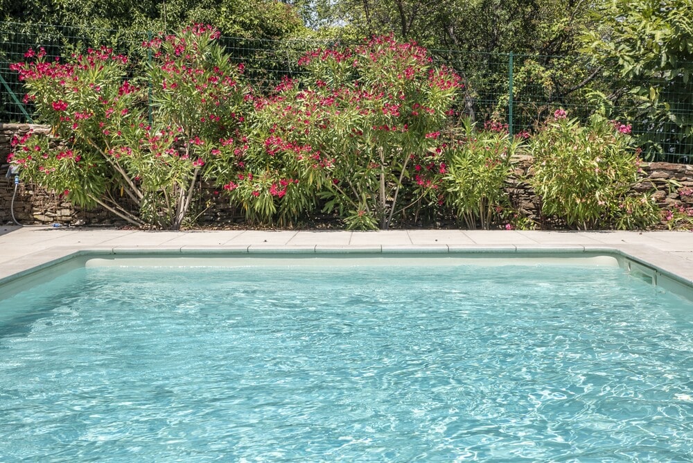 Traitement eau piscine